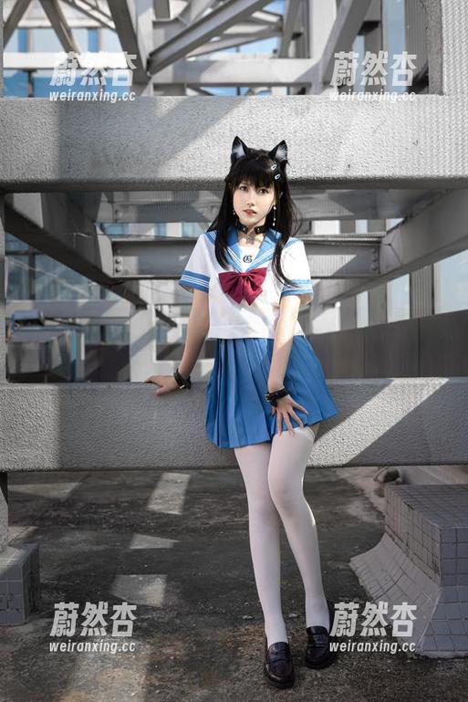 不呆猫 精选套图:不呆猫的秘密,快跑,猫滞留区!