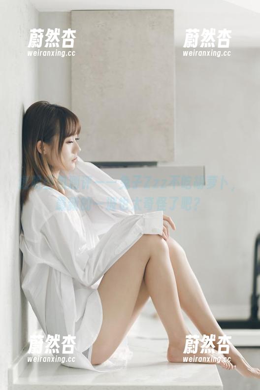 兔子Zzz不吃胡萝卜 透明图包测评——兔子Zzz不吃胡萝卜,最新的一波也太奇怪了吧?